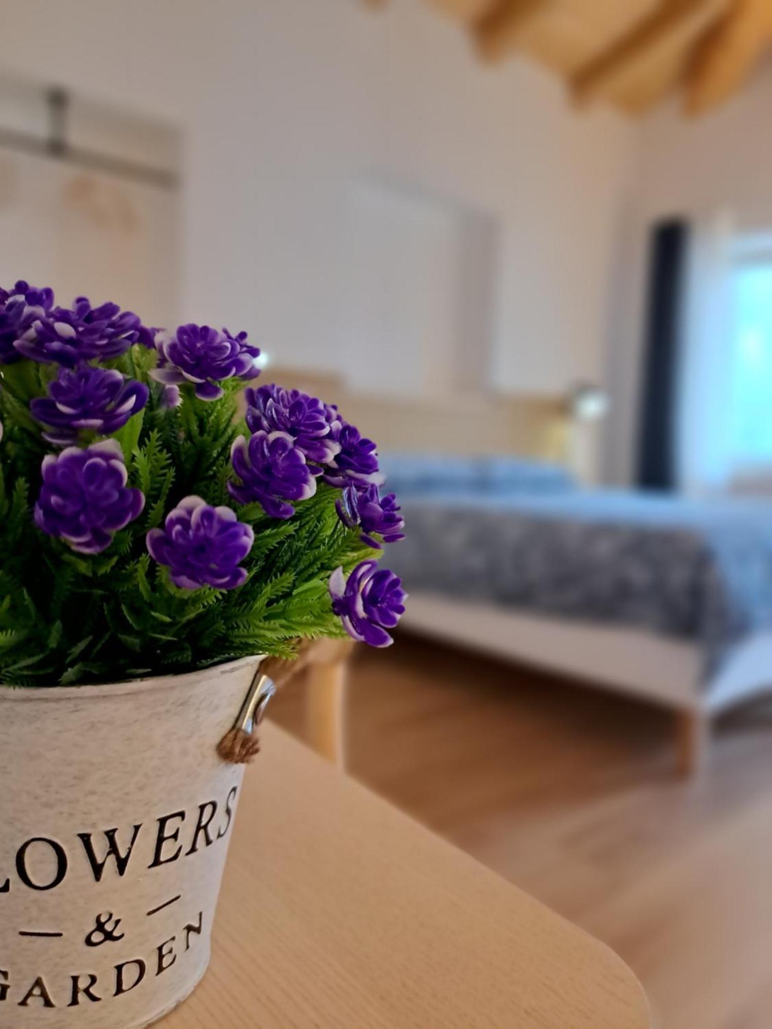 B&B Il Cortile Soriso Екстериор снимка